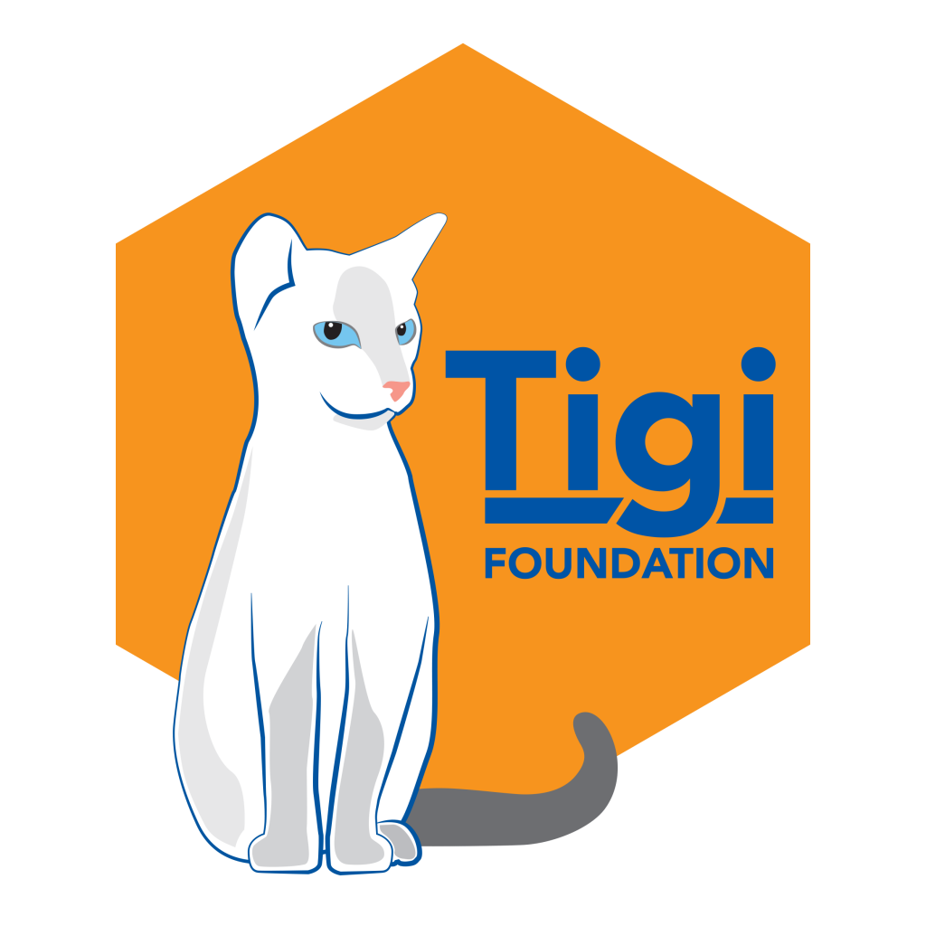 TIGI foundation