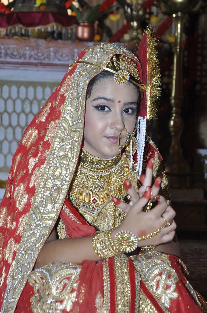 Maharana pratap wedding (4)