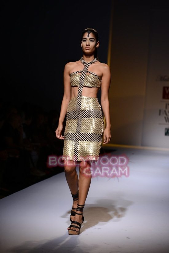 Malini collection_Wills India Fashion Week 2014-21