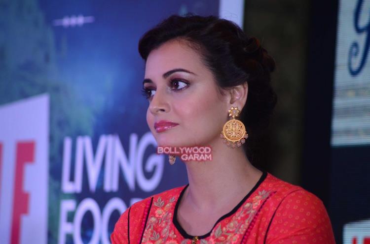 Dia mirza channel6