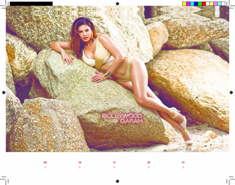 Sunny Leone calendar4