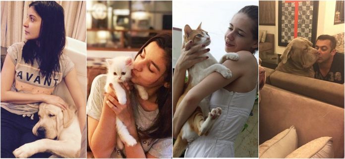 Bollywood celebrities pets