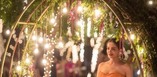 Surveen Chawla blessed with a baby girl